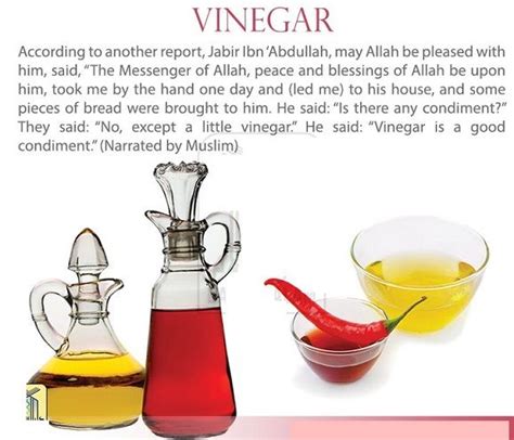 is vinegar legal in islam.